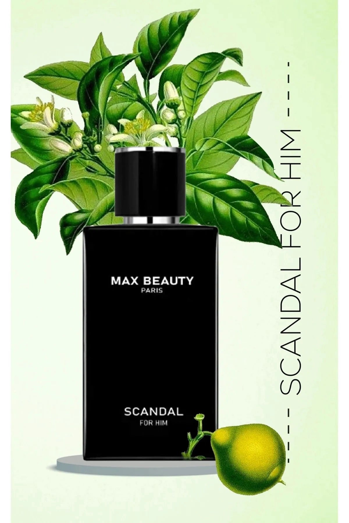 SCANDAL FOR HİM EDP ERKEK PARFÜM 50 ML 1