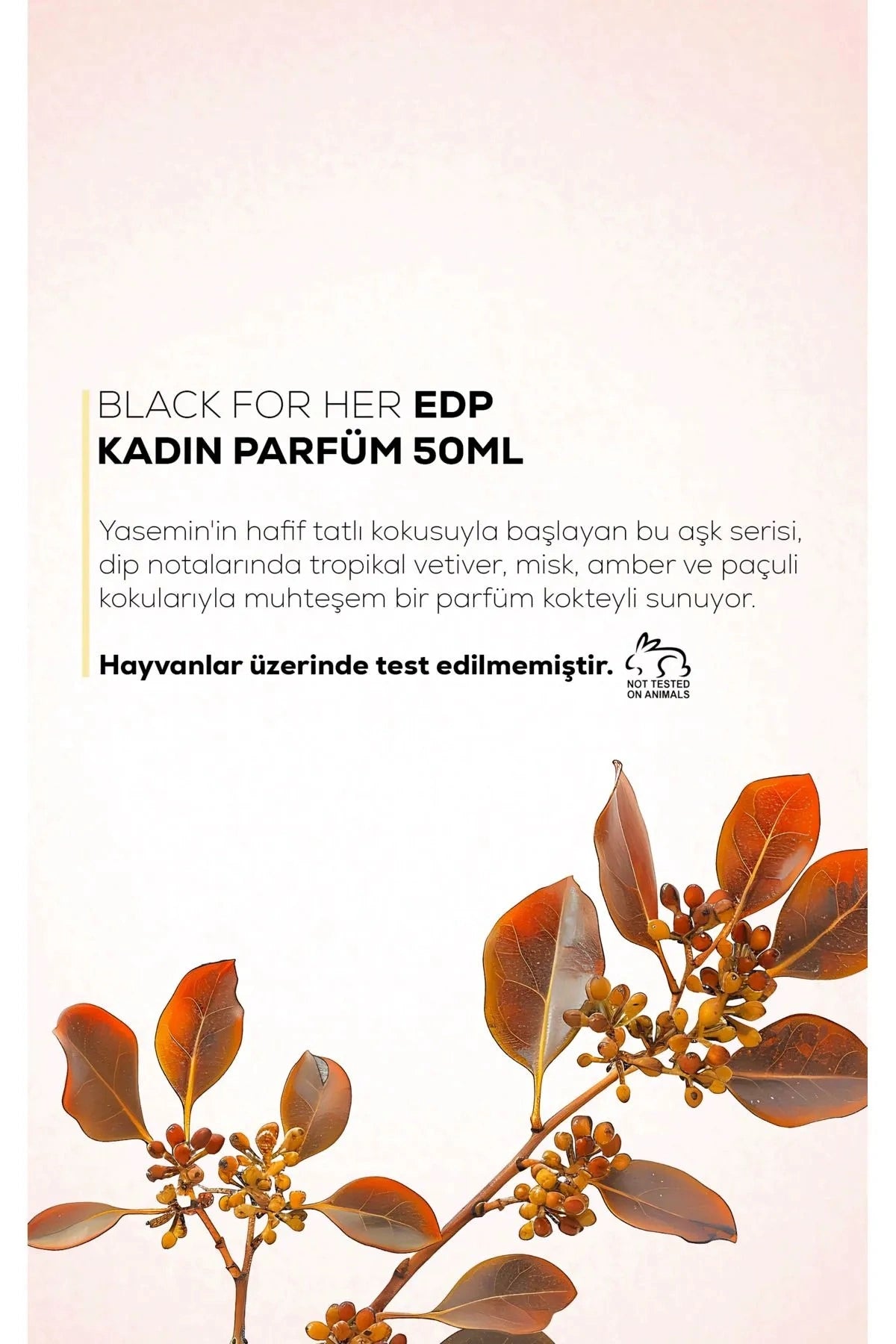 Max Beauty Paris Black Kadın Parfüm EDP 2