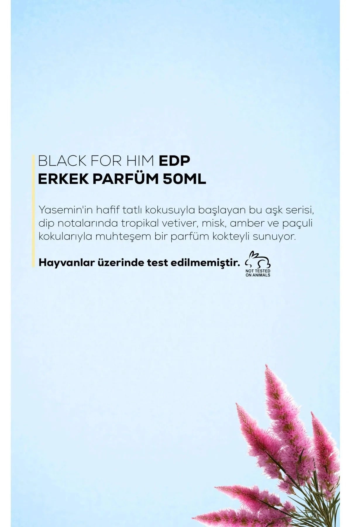 Max Beauty Paris Black For Him Erkek Parfum EDP 2