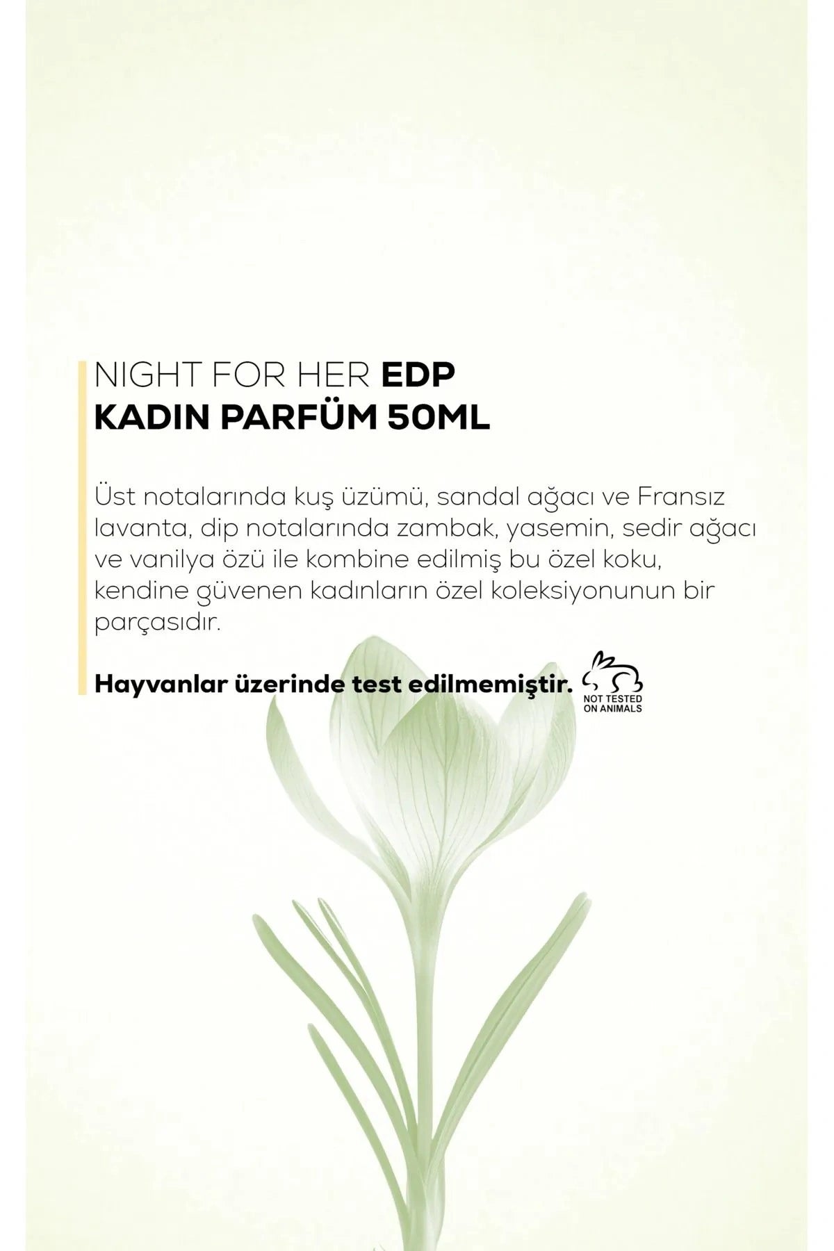 NİGHT FOR HER EDP KADIN PARFÜM 50ML 2