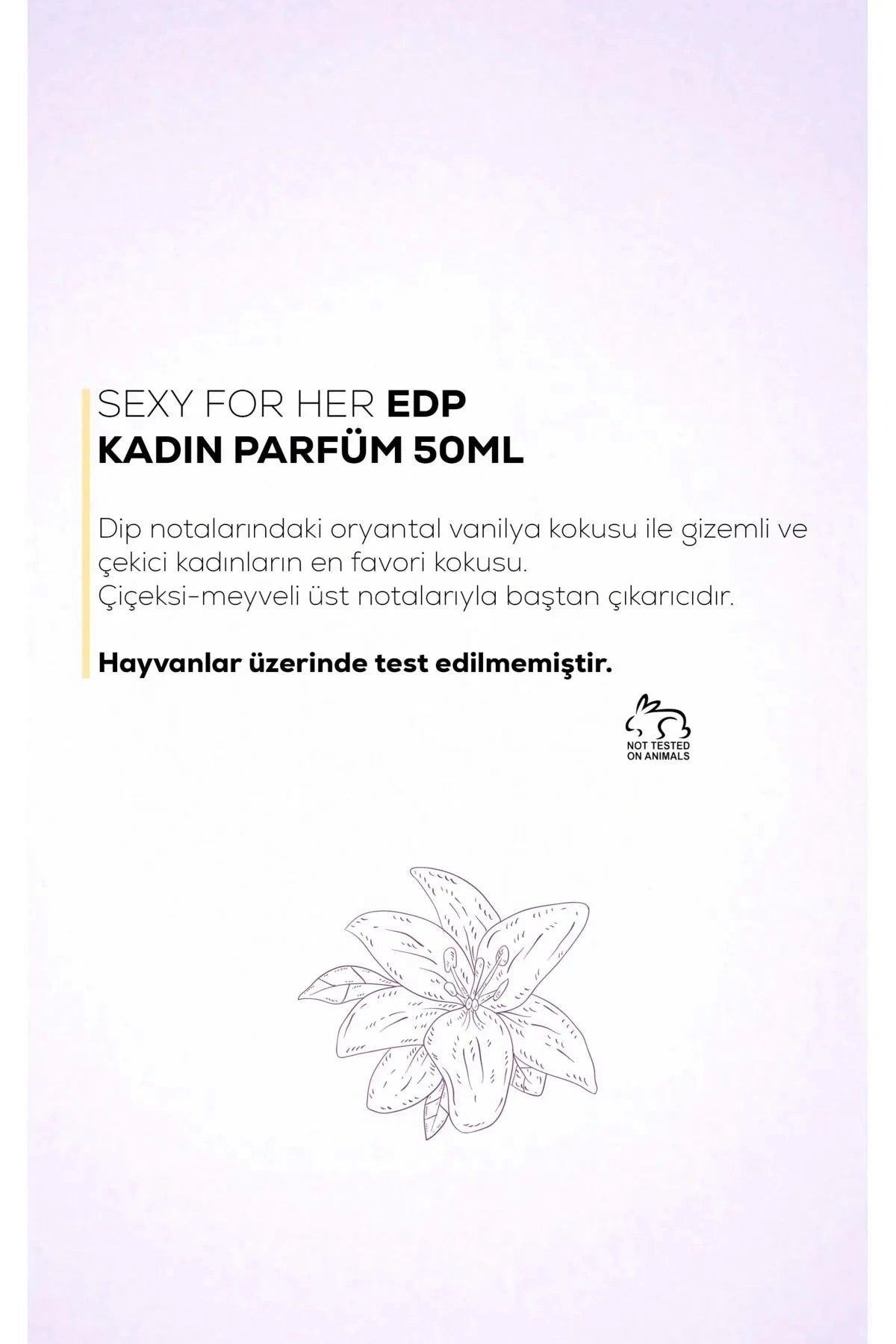 HYPNOTİC FOR HER EDP KADIN PARFÜM 3