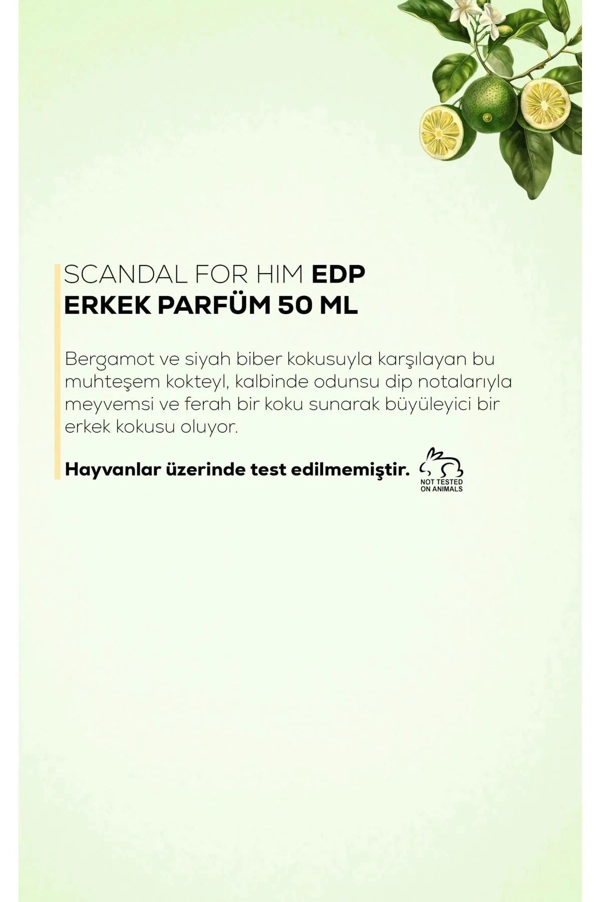 SCANDAL FOR HİM EDP ERKEK PARFÜM 50 ML 2