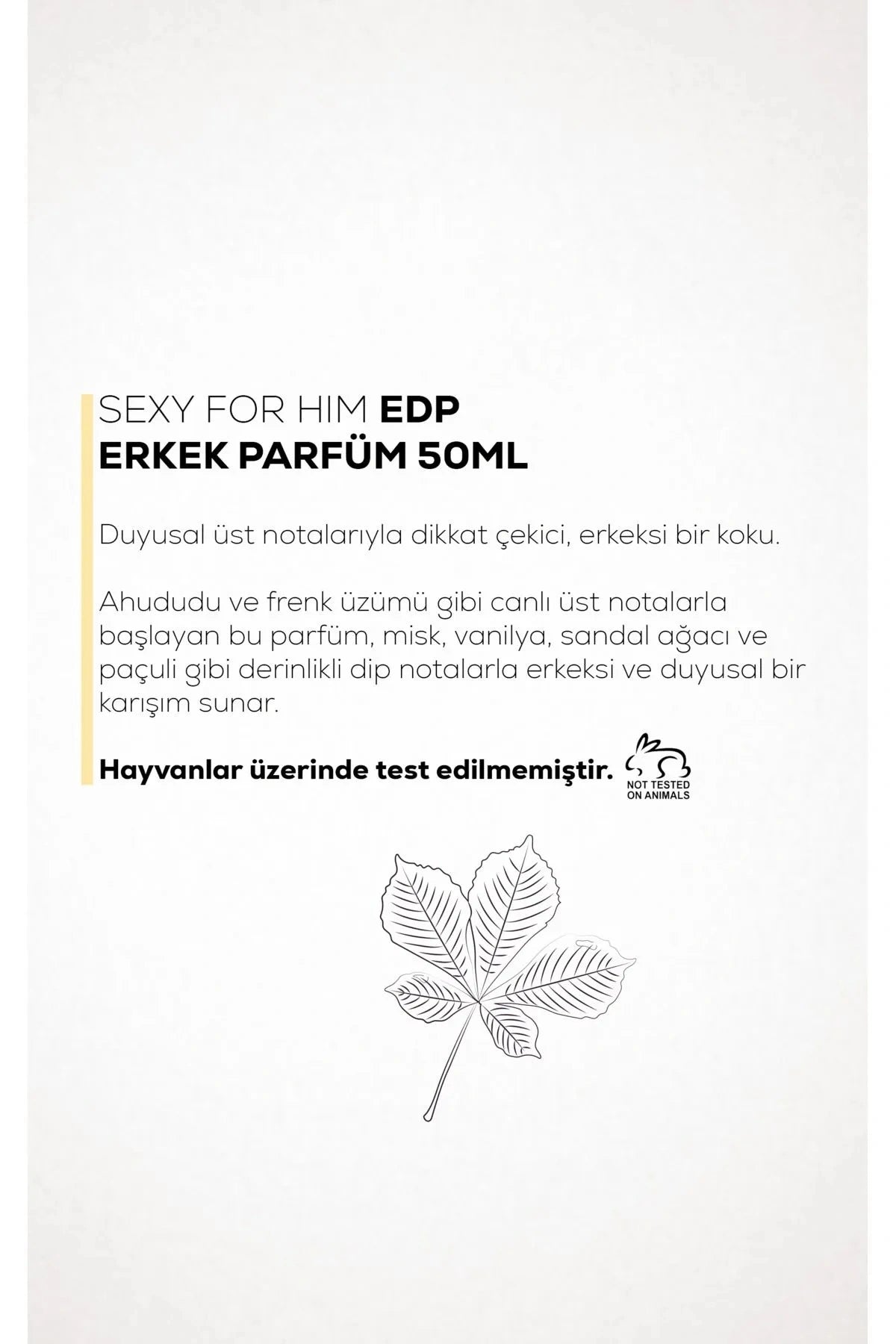 SEXY FOR HİM EDP ERKEK PARFÜM 50ML 2